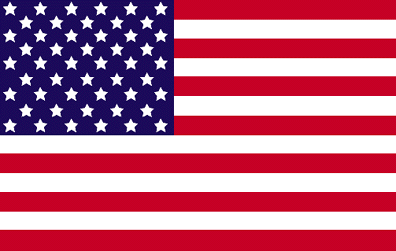 American Flag 10